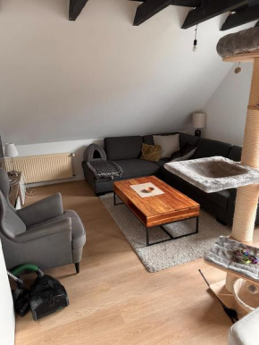 Ferienwohnung sengwardenn